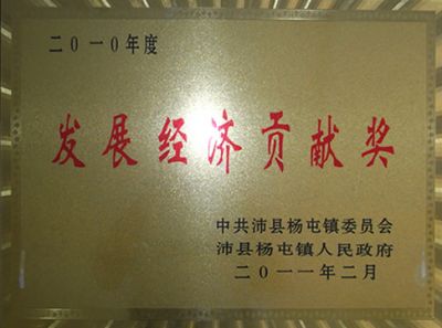 發(fā)展經(jīng)濟貢獻獎