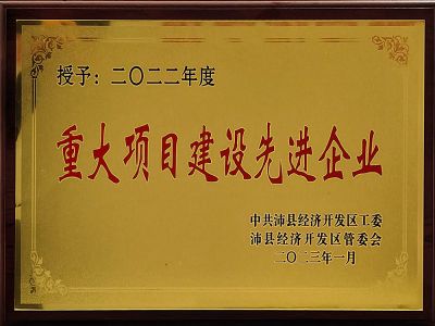 重大項目建設先進企業(yè)